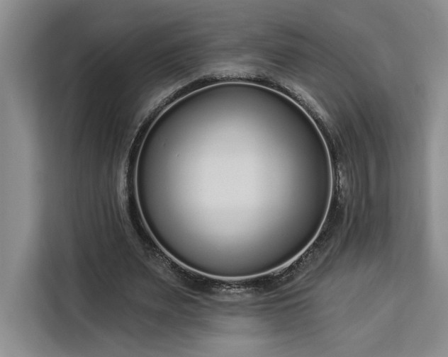 X0000112940487200908311452