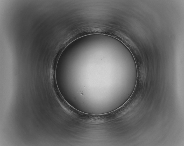 X0000112940489200908311452