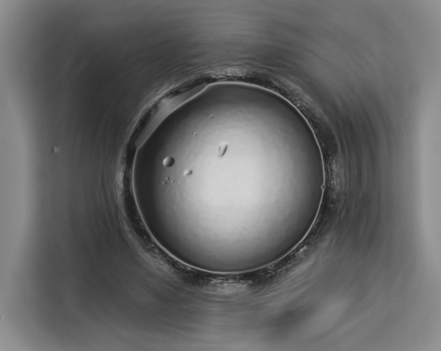 X0000112940491200908311452