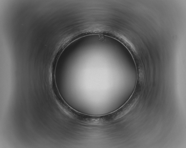 X0000112940493200908311452