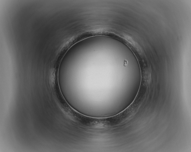 X0000112940495200908311452