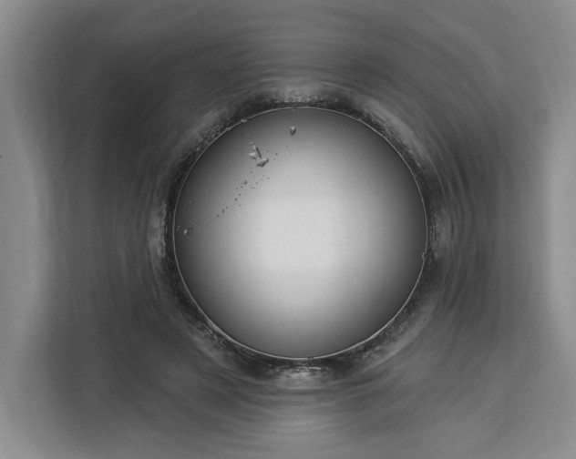 X0000112940497200908311452