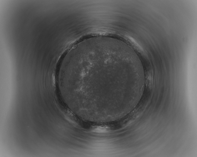 X0000112940500200908311452