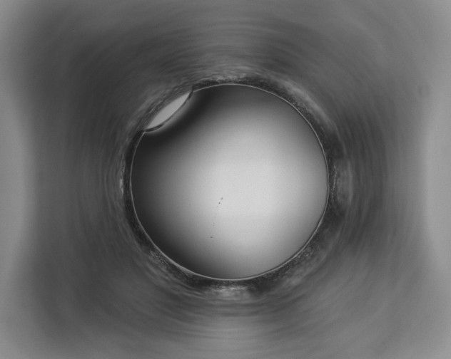 X0000112940501200908311452