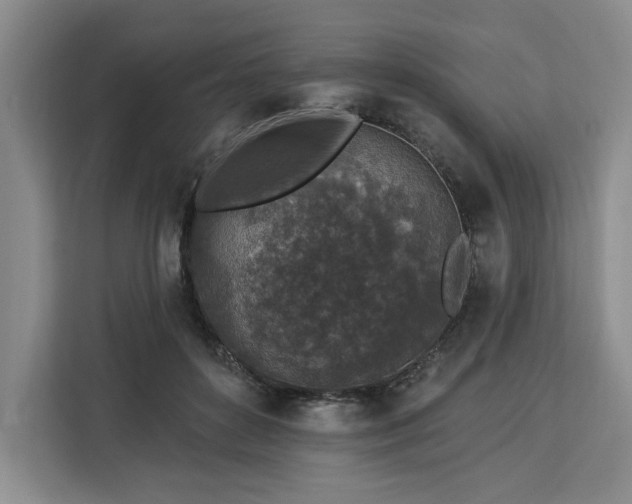 X0000112940504200908311452