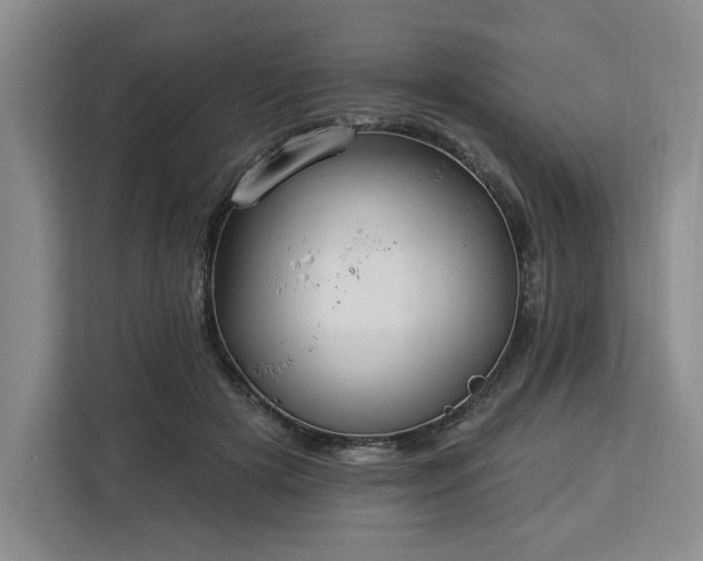 X0000112940505200908311452