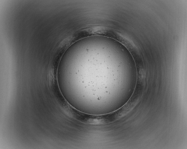 X0000112940506200908311452