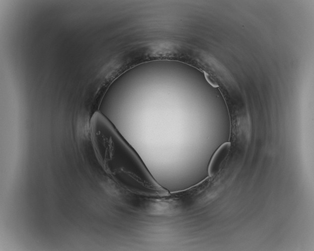 X0000112940508200908311452