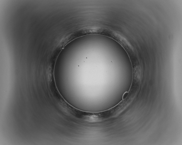 X0000112940509200908311452