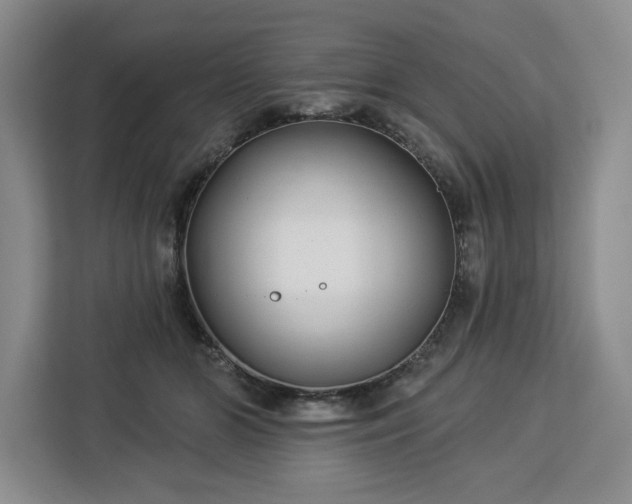 X0000112940510200908311452