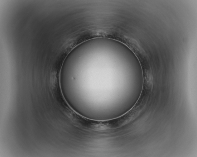 X0000112940511200908311452