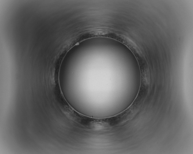 X0000112940512200908311452