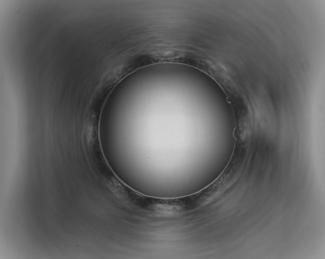 X0000112940515200908311452