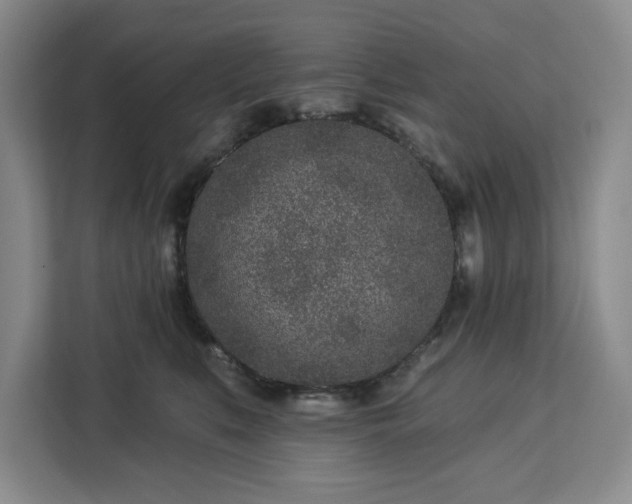 X0000112940519200908311452