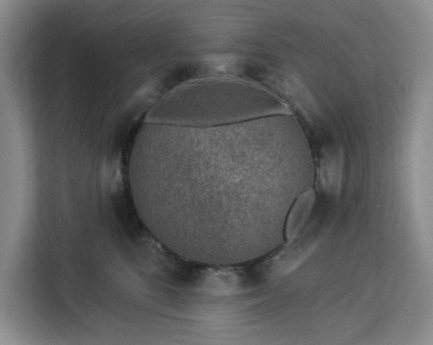 X0000112940520200908311452