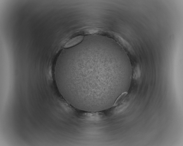 X0000112940524200908311451