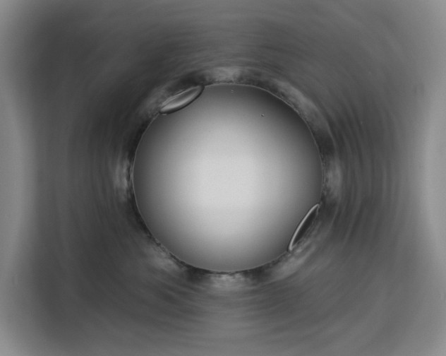 X0000112940525200908311451