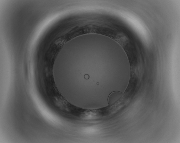 X0000112940526200908311451