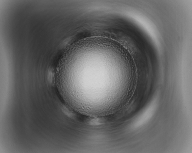 X0000112940527200908311451