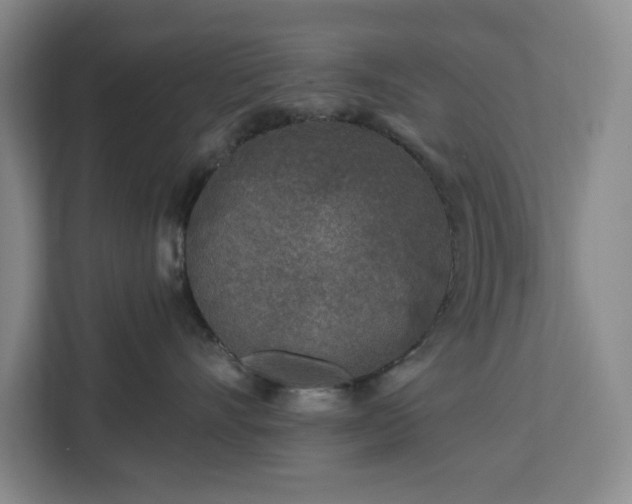 X0000112940528200908311451