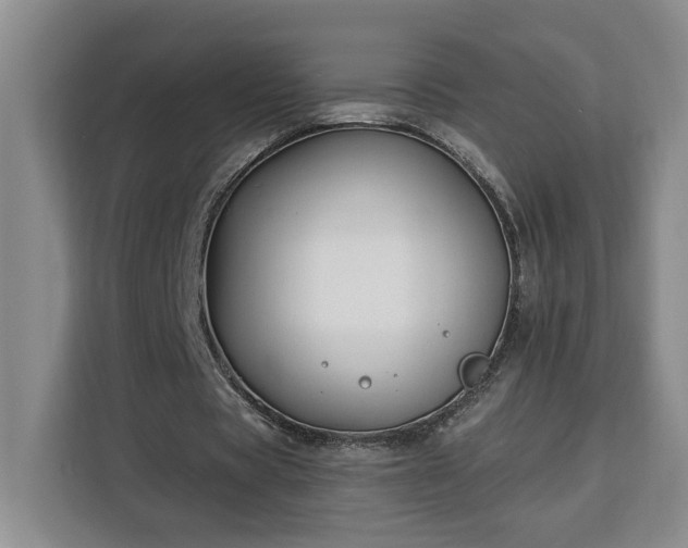 X0000112940529200908311451