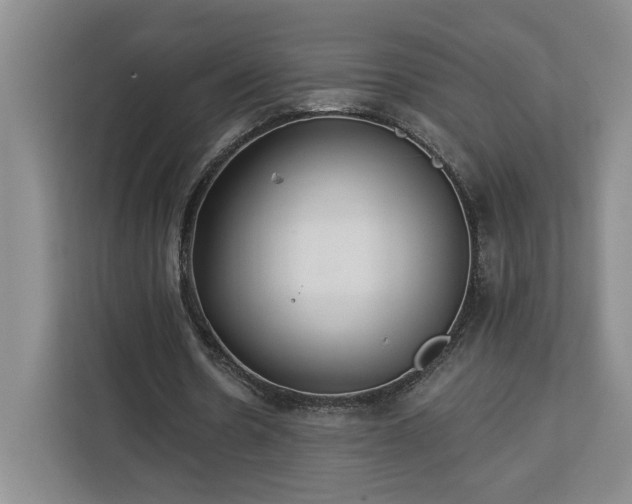 X0000112940530200908311451