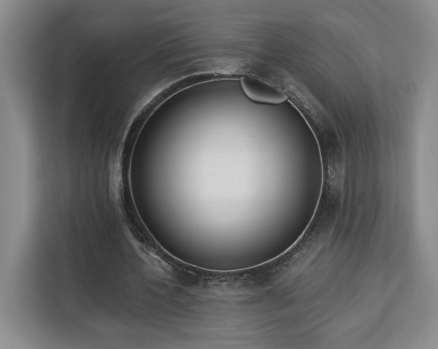 X0000112940532200908311451