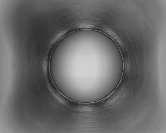 X0000112940533200908311451