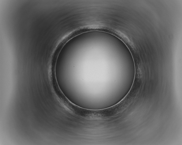 X0000112940535200908311451