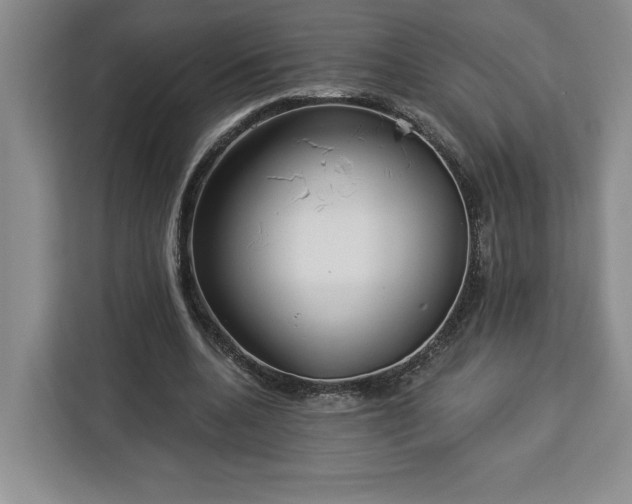 X0000112940536200908311451