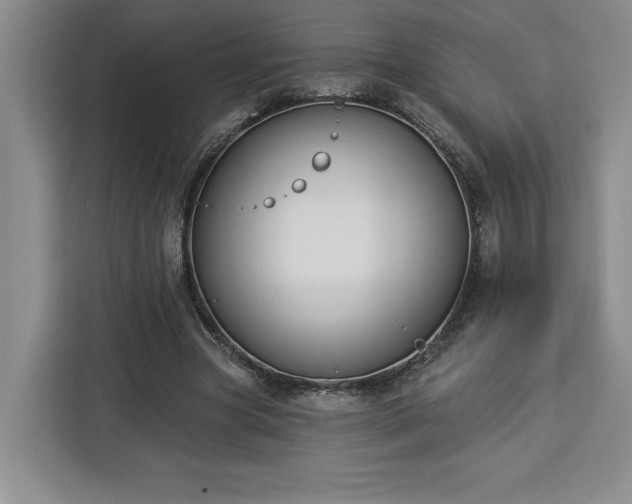 X0000112940537200908311451