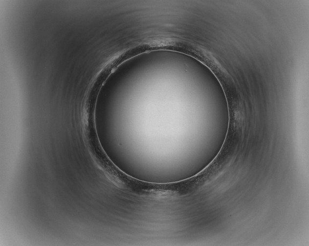 X0000112940539200908311451