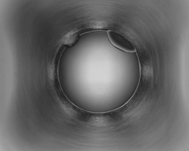 X0000112940540200908311451