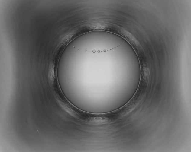 X0000112940541200908311451