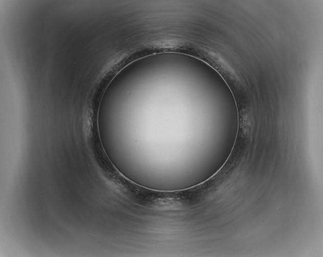 X0000112940544200908311451