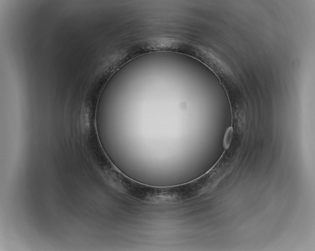 X0000112940546200908311451