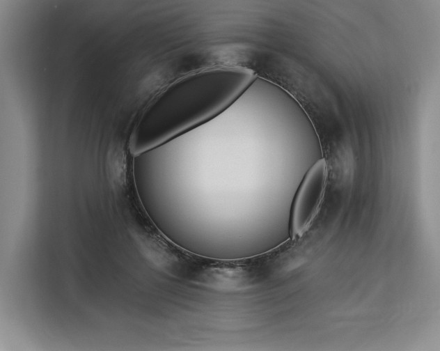 X0000112940552200908311451