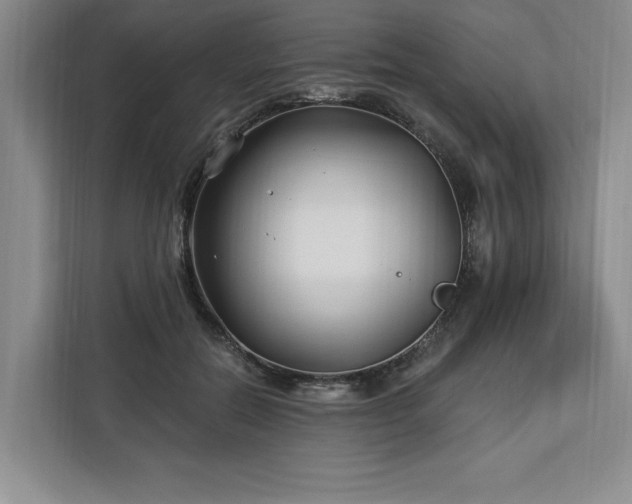 X0000112940554200908311451