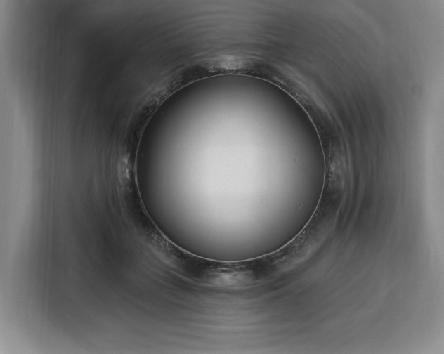 X0000112940555200908311451