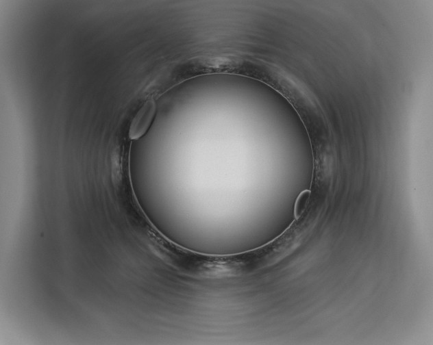 X0000112940558200908311451