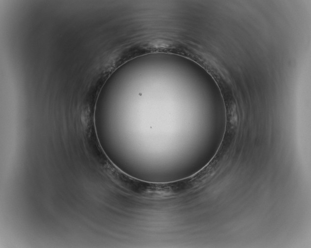 X0000112940559200908311451