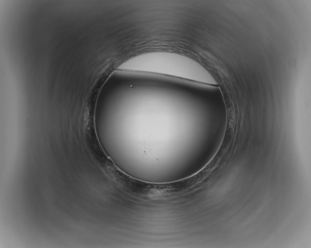 X0000112940560200908311451