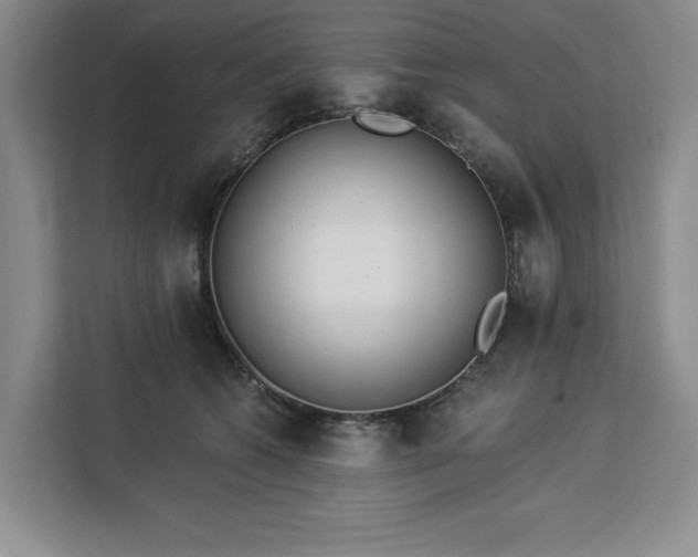 X0000112940562200908311451