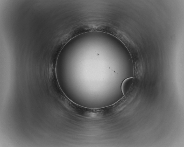 X0000112940563200908311451