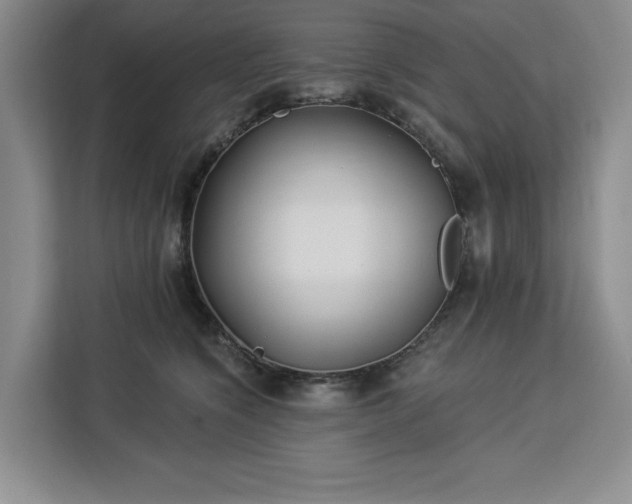 X0000112940564200908311451