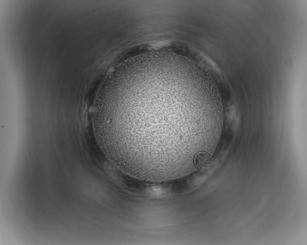 X0000112940565200908311451