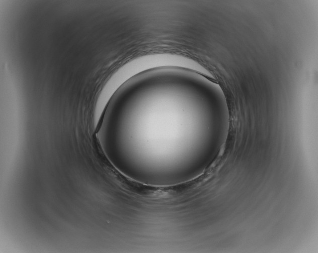 X0000112940566200908311451