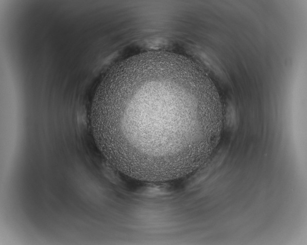 X0000112940569200908311451