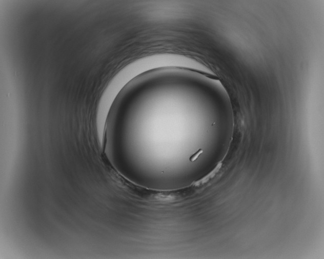 X0000112940570200908311451