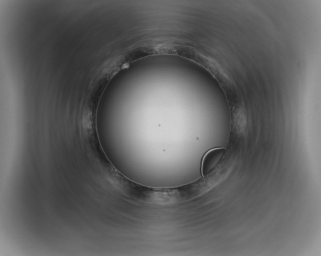 X0000112940571200908311451